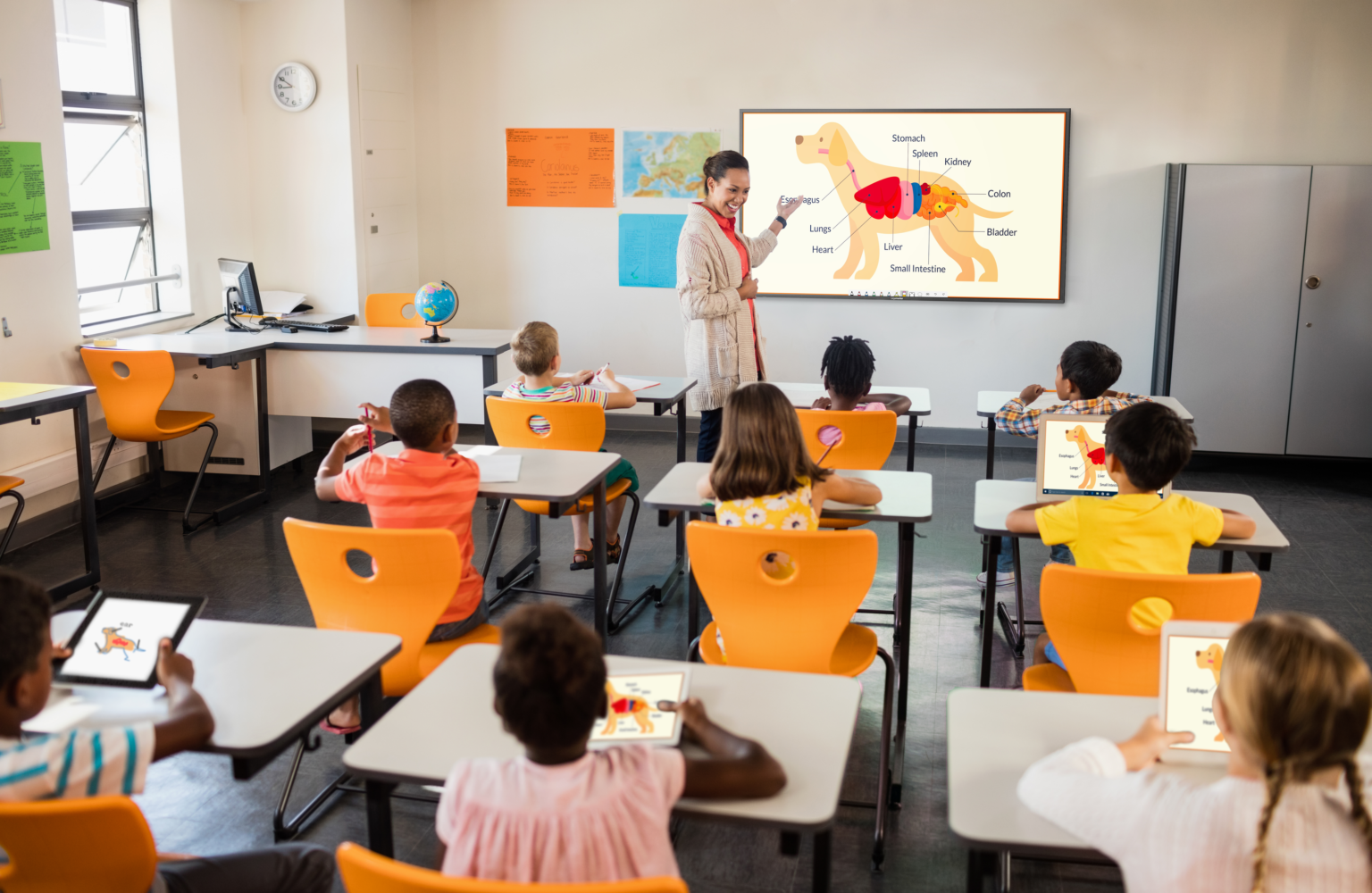 Interactive Touchscreens for Education TG Systems